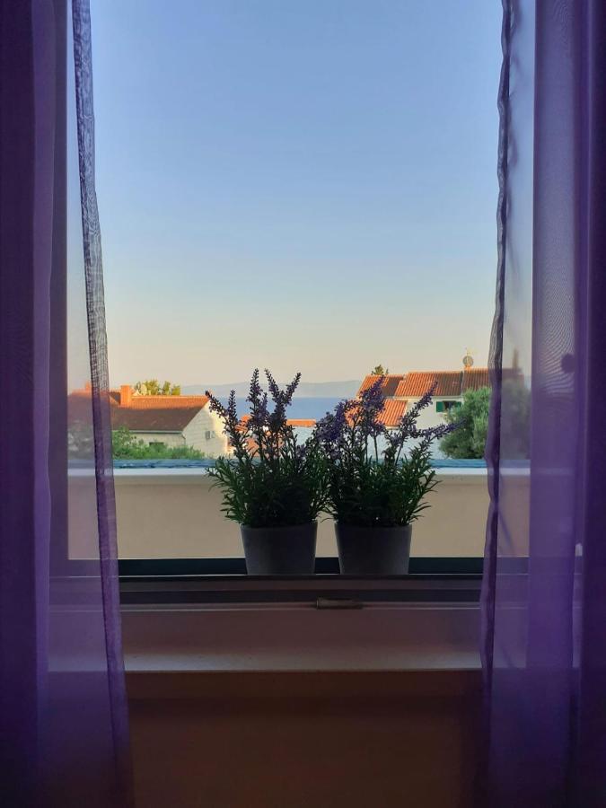 Borovina Apartment