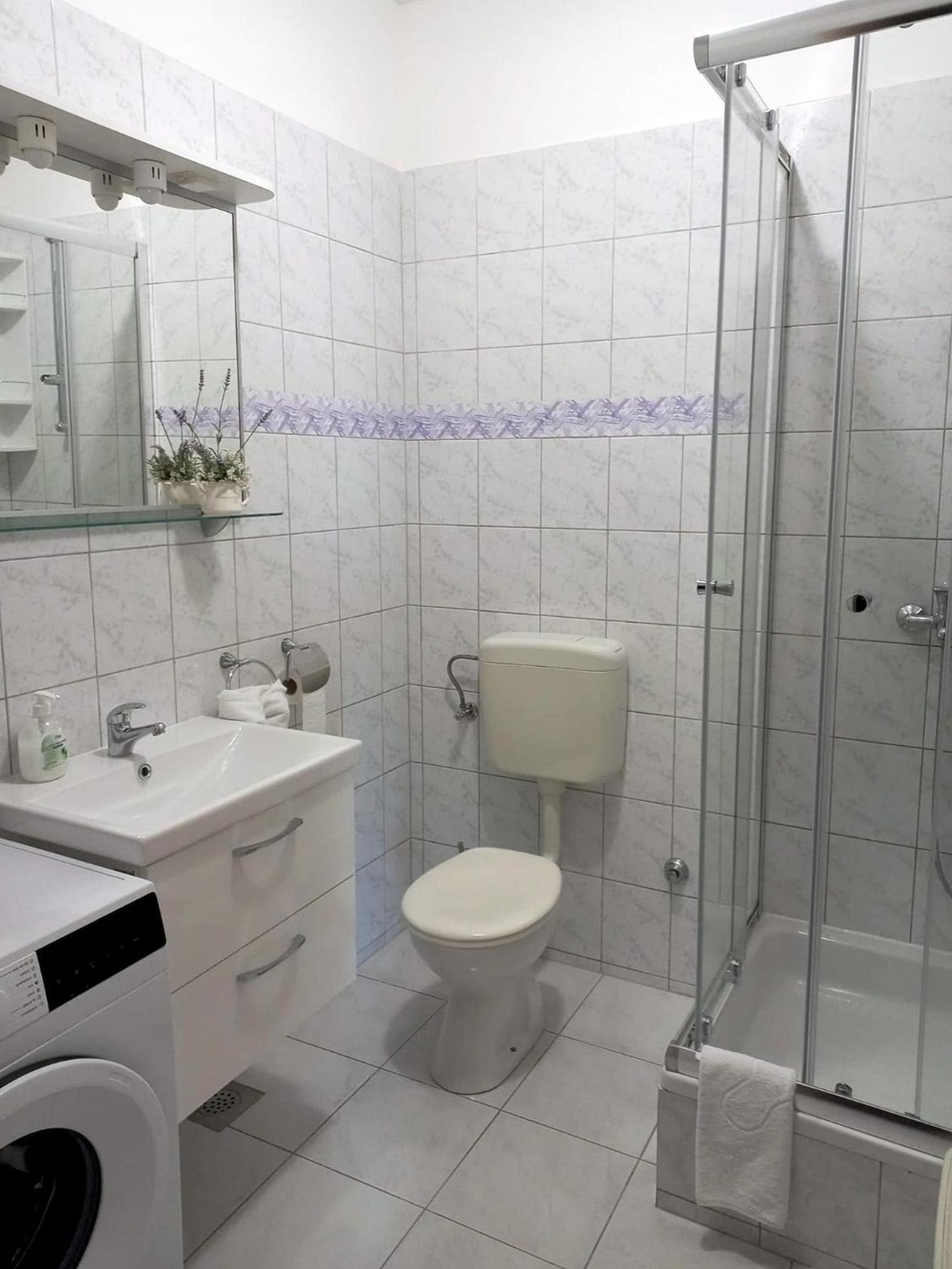 Borovina Apartment