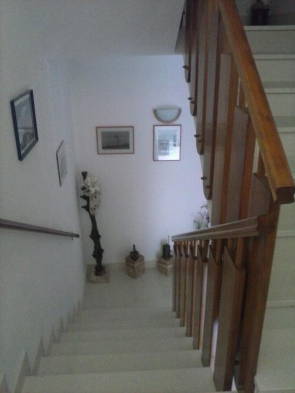 Borovina Bol