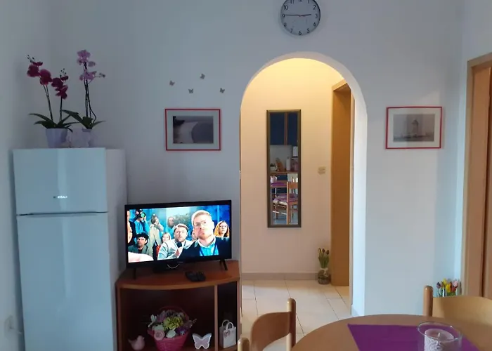 Apartments Borovina