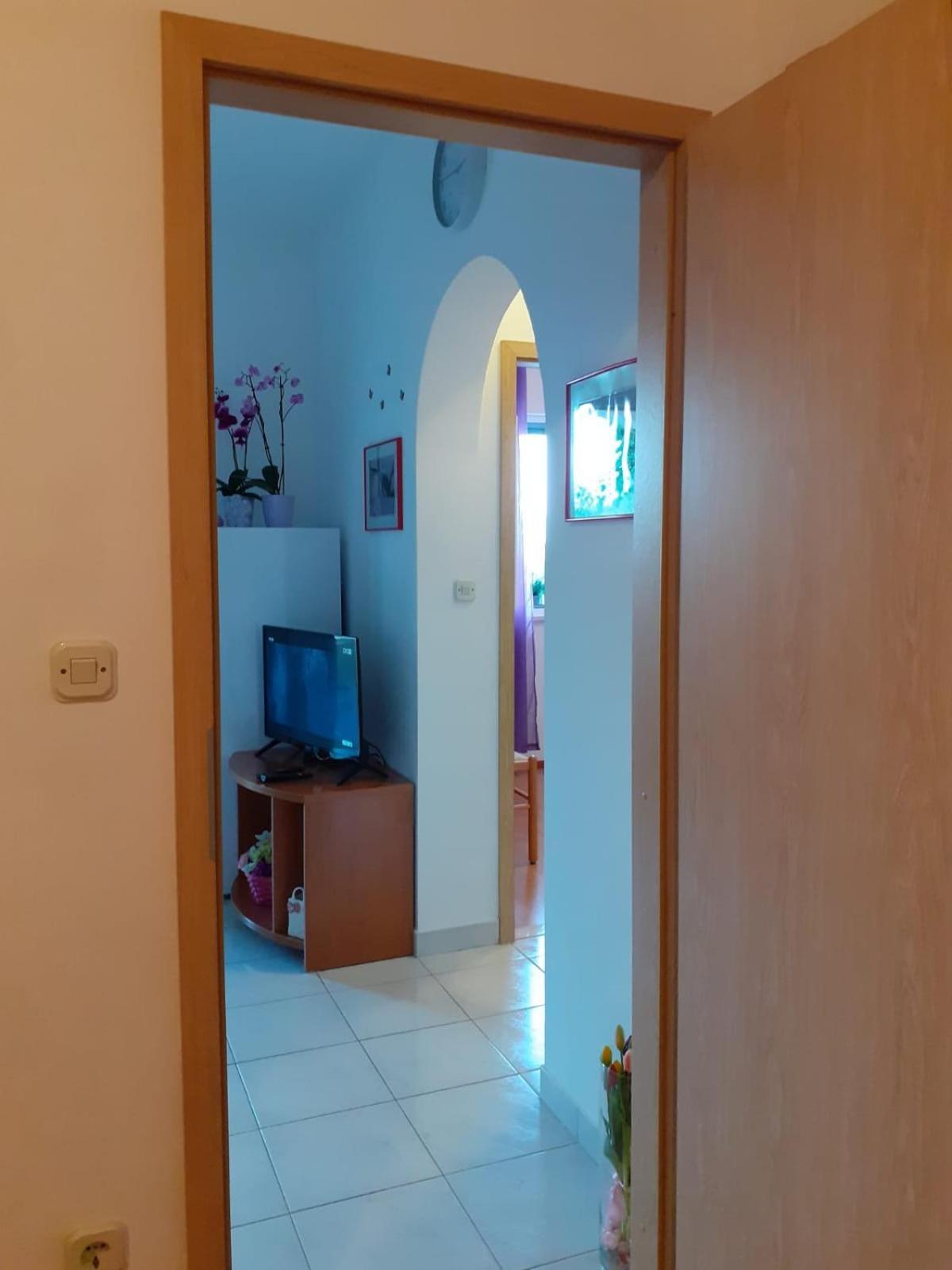 Apartment Borovina Bol